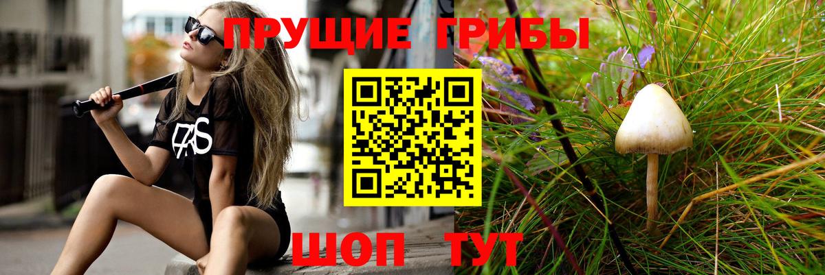 Псилоцибиновые грибы мицелий Урай